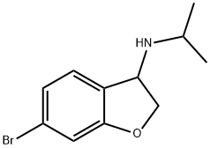 6-bromo-N-(propan-2-yl)-2,3-dihydro-1-benzofuran -3-amine Structure