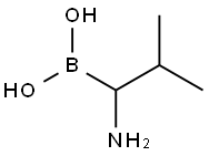 Boronic acid, (1-amino-2-methylpropyl)- (9CI) Structure