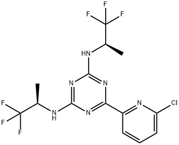 PVM/MA Structure