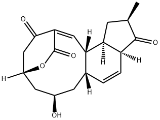 2,5-Ethanoindeno[4,5-e]oxecin-3,11,15-trione, 5,6,7,8,8a,10a,12,13,13a,13b-decahydro-7-hydroxy-12-methyl-, (1Z,5R,7R,8aS,10aS,12R,13aR,13bS)- Structure