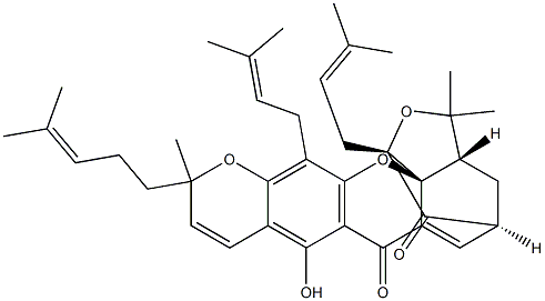 Gambogin Structure