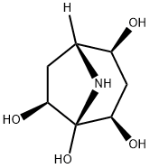 Calystegine B5 Structure