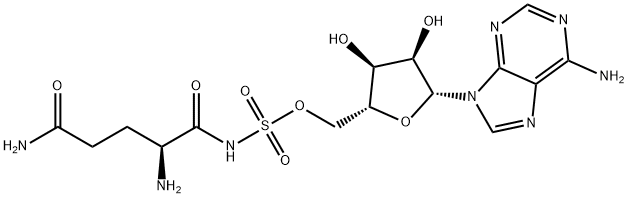 Gln-AMS Structure