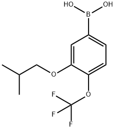 3-Isobutoxy-4-(trifluoromethoxy)phenylboronic acid Structure