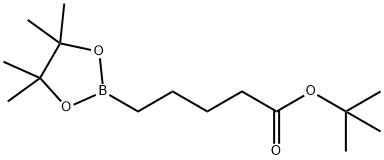 tert-Butyl 5-(tetramethyl-1,3,2-dioxaborolan-2-yl)pentanoate 구조식 이미지