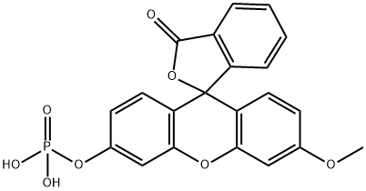 Spiro[isobenzofuran-1(3H),9'-[9H]xanthen]-3-one, 3'-methoxy-6'-(phosphonooxy)- Structure