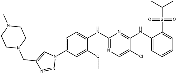 WY-135 Structure