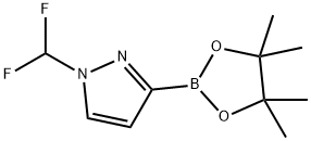 1-(difluoromethyl)-3-(tetramethyl-1,3,2-dioxaborolan-2-yl)-1H-pyrazole 구조식 이미지