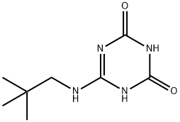 1,3,5-Triazine-2,4(1H,3H)-dione, 6-[(2,2-dimethylpropyl)amino]- Structure