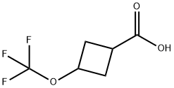 Cyclobutanecarboxylic acid, 3-(trifluoromethoxy)- Structure