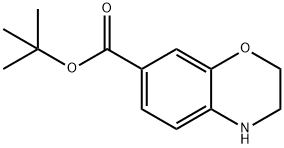 tert-butyl 3,4-dihydro-2H-1,4-benzoxazine-7-carboxylate Structure