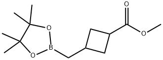 Cyclobutanecarboxylic acid, 3-[(4,4,5,5-tetramethyl-1,3,2-dioxaborolan-2-yl)methyl]-, methyl ester 구조식 이미지
