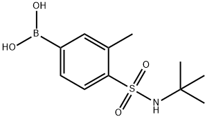 [4-(tert-butylsulfamoyl)-3-methylphenyl]boronic acid Structure