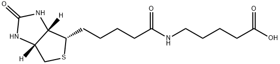 Pentanoic acid, 5-[[5-[(3aS,4S,6aR)-hexahydro-2-oxo-1H-thieno[3,4-d]imidazol-4-yl]-1-oxopentyl]amino]- Structure