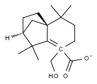 (2S)-1,3,4,5,6,7-hexahydro-1,1,5,5-tetramethyl-2H-2,4a-methanonaphthalene-8-methyl formate Structure