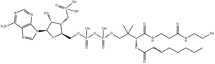 S-2-옥테노에이트조효소A 구조식 이미지
