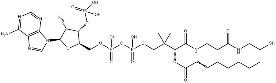 S-2-Octenoate coenzyme A Structure