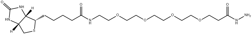 (+)-Biotin-PEG4-Hydrazide Structure