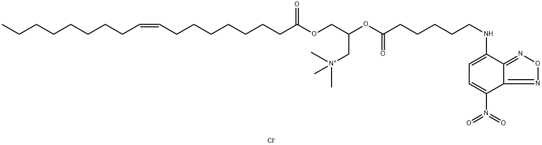 FLUORESCENT DOTAP Structure