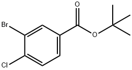 3-Bromo-4-chloro-benzoic acid tert-butyl ester 구조식 이미지