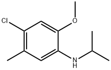 Benzenamine, 4-chloro-2-methoxy-5-methyl-N-(1-methylethyl)- Structure