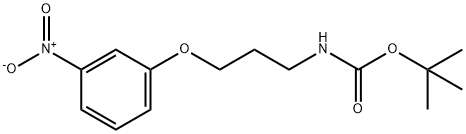 Carbamic acid, N-[3-(3-nitrophenoxy)propyl]-, 1,1-dimethylethyl ester Structure