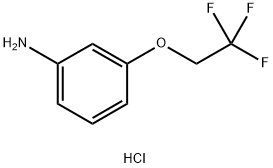 Benzenamine, 3-(2,2,2-trifluoroethoxy)-, hydrochloride (1:1) Structure