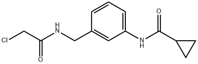 Cyclopropanecarboxamide, N-[3-[[(2-chloroacetyl)amino]methyl]phenyl]- Structure