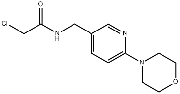 Acetamide, 2-chloro-N-[[6-(4-morpholinyl)-3-pyridinyl]methyl]- Structure