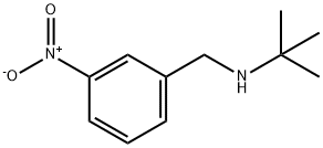 Benzenemethanamine, N-(1,1-dimethylethyl)-3-nitro- 구조식 이미지