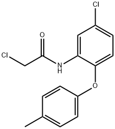 2-Chloro-N-[5-chloro-2-(4-methylphenoxy)phenyl]acetamide 구조식 이미지