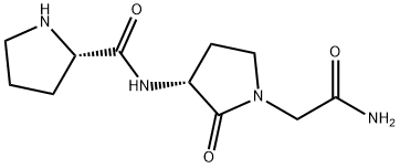 PAOPA Structure