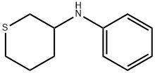 2H-Thiopyran-3-amine, tetrahydro-N-phenyl- 구조식 이미지