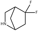 Racemate-5,5-Difluoro-2-Aza-Bicyclo[2.2.1]Heptane(WX120101) 구조식 이미지