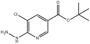 3-Pyridinecarboxylic acid, 5-chloro-6-hydrazinyl-, 1,1-dimethylethyl ester 구조식 이미지