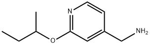 2-(butan-2-yloxy)pyridin-4-yl]methanamine Structure