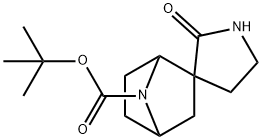 Spiro[7-azabicyclo[2.2.1]heptane-2,3′-pyrrolidine]-7-carboxylic acid, 2′-oxo-, 1… Structure