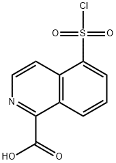 1-Isoquinolinecarboxylic acid, 5-(chlorosulfonyl)- Structure