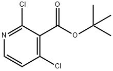 Tert-butyl 2,4-dichloronicotinate 구조식 이미지