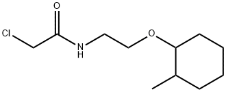 2-chloro-N-{2-[(2-methylcyclohexyl)oxy]ethyl}acetamide 구조식 이미지