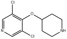 3,5-dichloro-4-(piperidin-4-yloxy)pyridine Structure