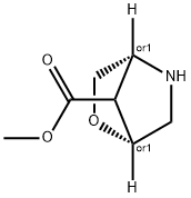 Methyl 2-Oxa-5-Azabicyclo[2.2.1]Heptane-7-Carboxylate(WX120060) Structure