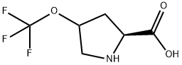 Proline, 4-(trifluoromethoxy)- Structure