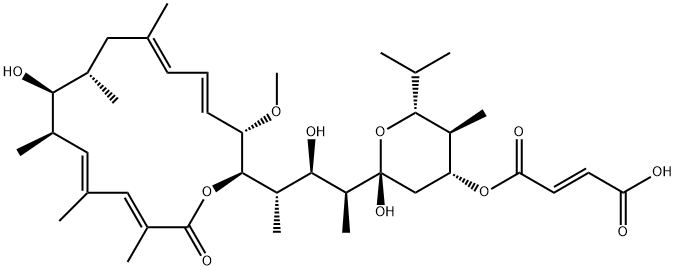 TS 155-2 Structure