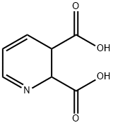 2,3-Pyridinedicarboxylic acid, 2,3-dihydro- Structure