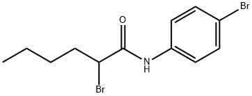 Hexanamide, 2-bromo-N-(4-bromophenyl)- Structure