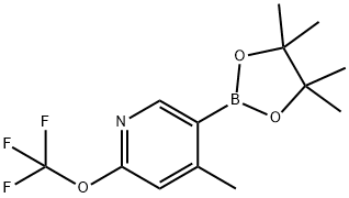 4-methyl-5-(tetramethyl-1,3,2-dioxaborolan-2-yl)-2-(trifluoromethoxy)pyridine Structure