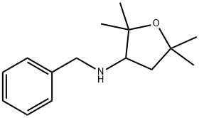 N-benzyl-2,2,5,5-tetramethyloxolan-3-amine 구조식 이미지