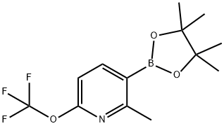 2-methyl-3-(tetramethyl-1,3,2-dioxaborolan-2-yl)-6-(trifluoromethoxy)pyridine Structure