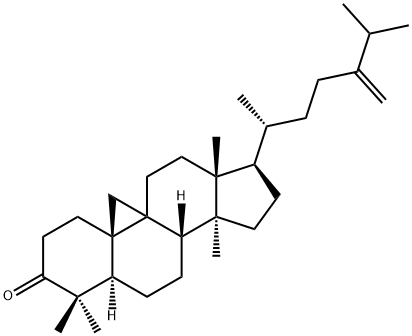 24-Methylenecycloartan-3-one 구조식 이미지